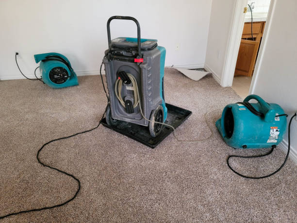 Professional Water damage restoration in MN