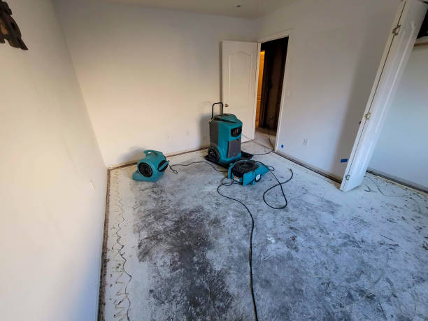 Best Flood restoration services  in Duluth, MN