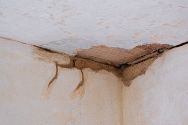 Best 24/7 water damage repair  in Duluth, MN