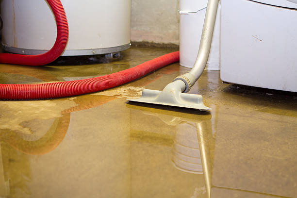 Best Professional water damage repair  in Duluth, MN