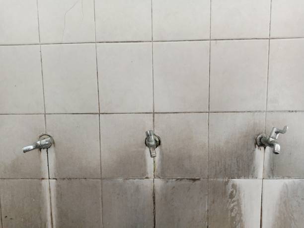 Best Local water damage restoration  in Duluth, MN