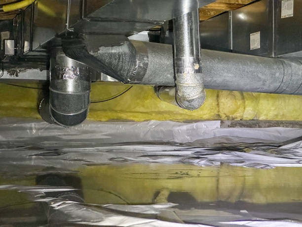 Best Professional water damage repair  in Duluth, MN